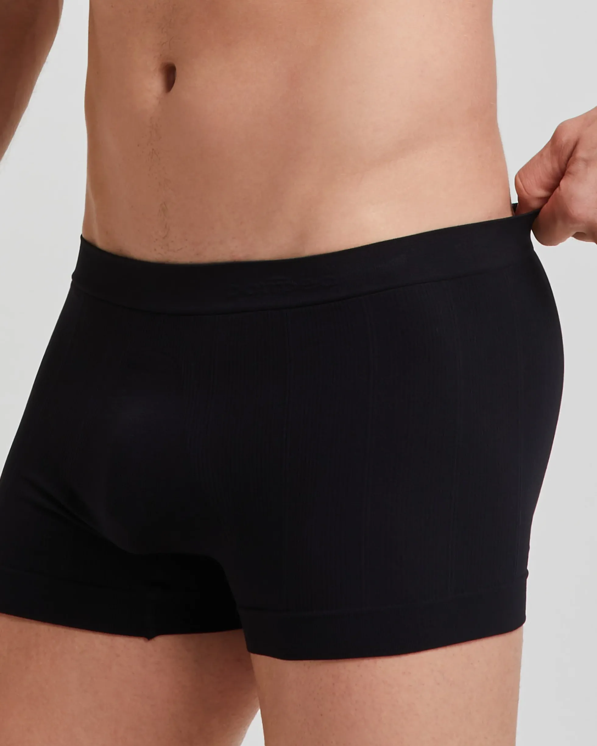 Boxer coste new moving seamless