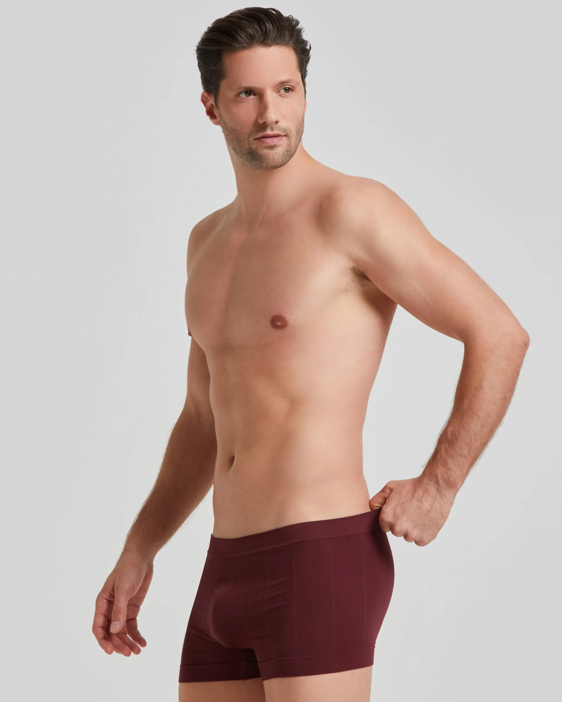 Boxer coste new moving seamless