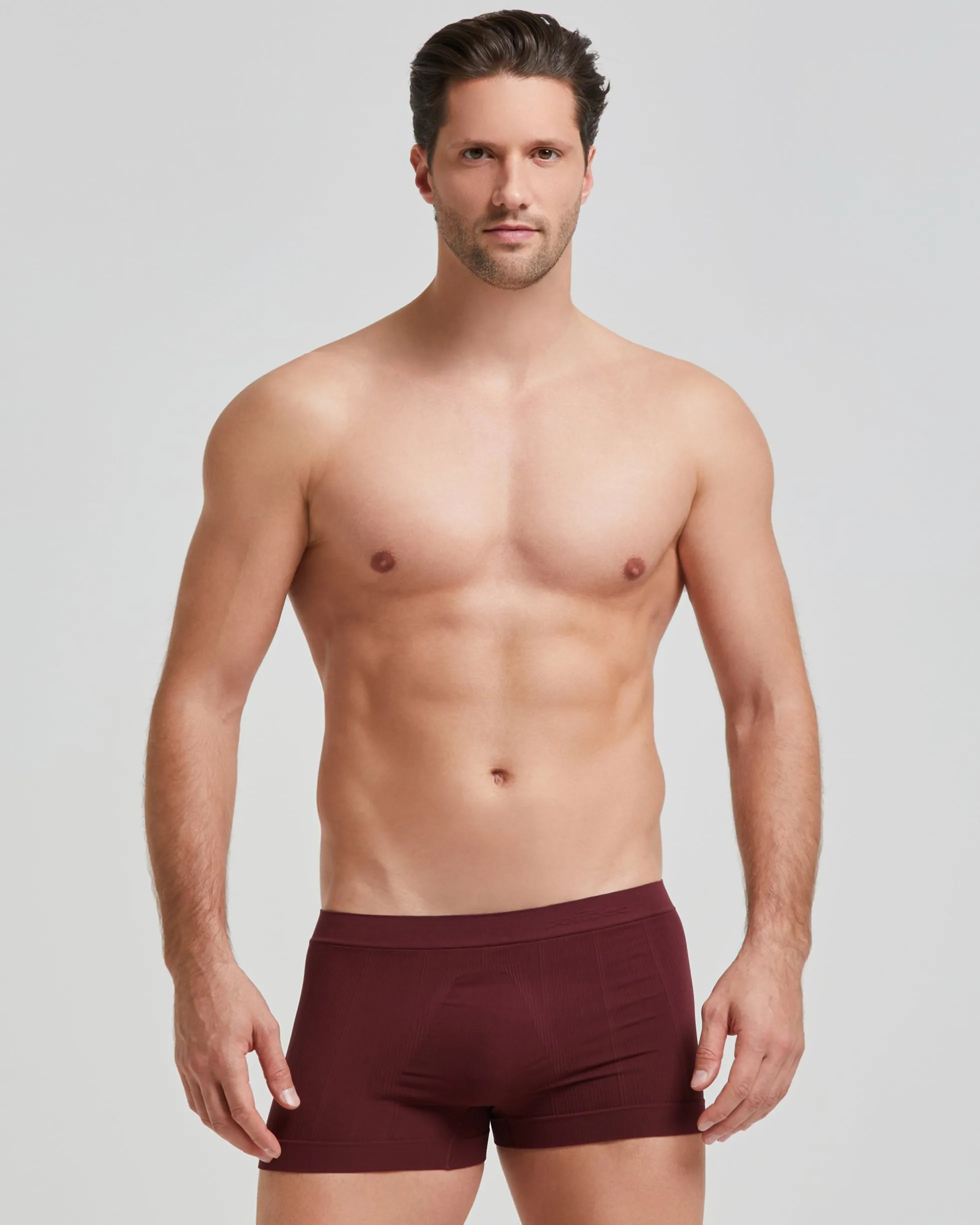 Boxer coste new moving seamless