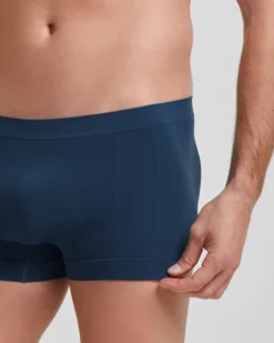 Boxer coste new moving seamless