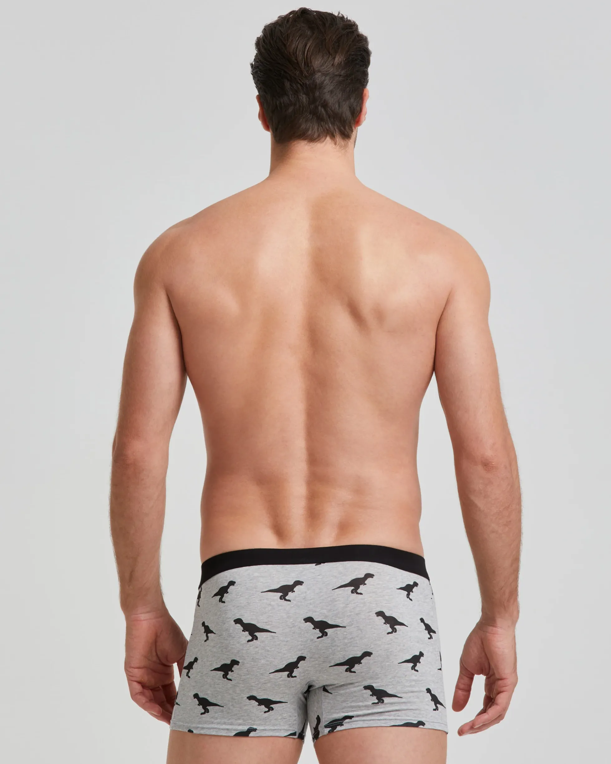 Boxer cotone Dinos