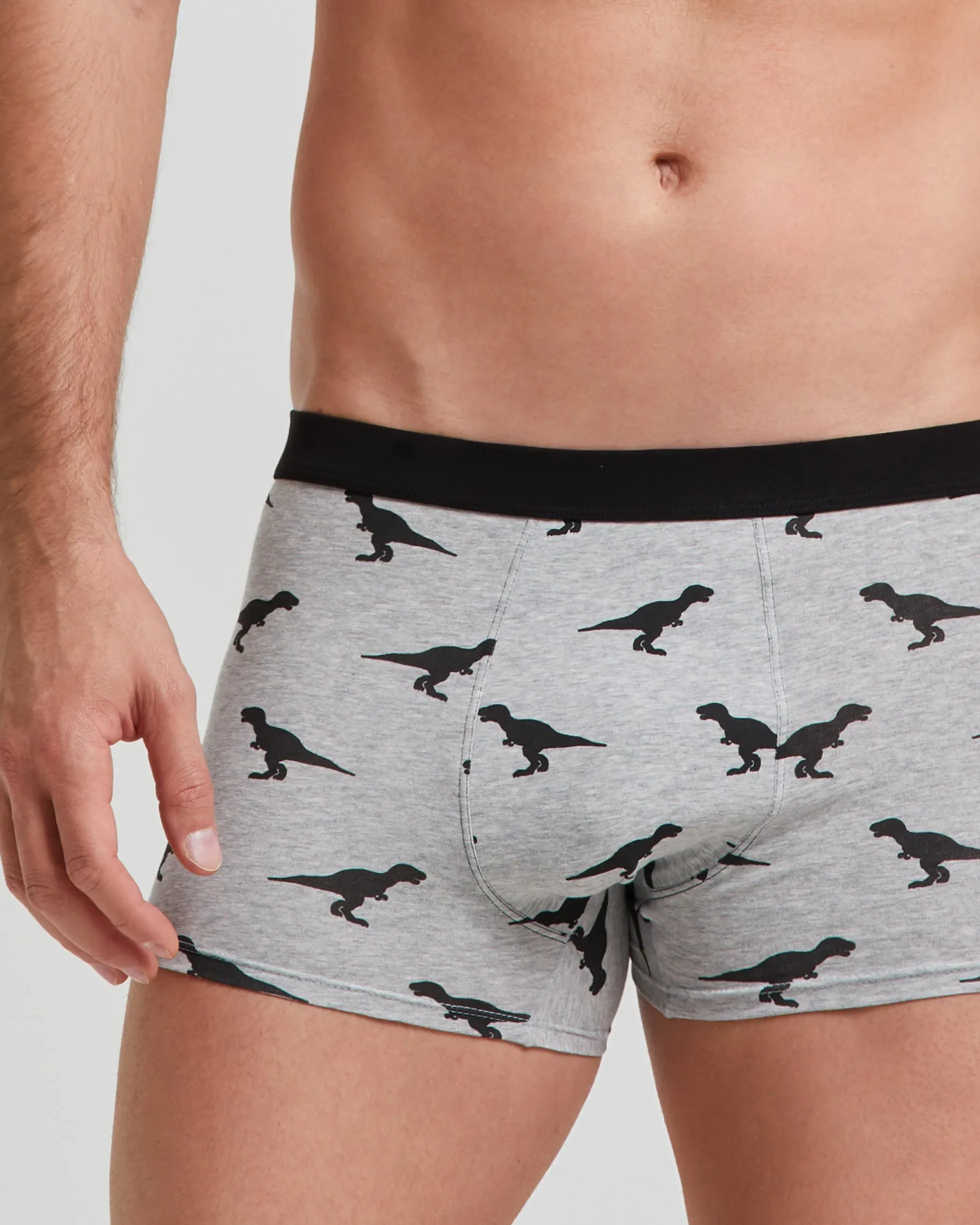 Boxer cotone Dinos