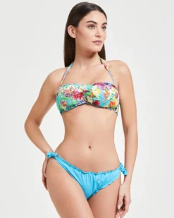 BRASILIANA SAMOTRACIA