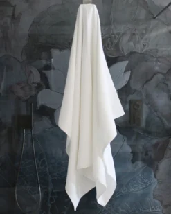 Telo spugna bagno